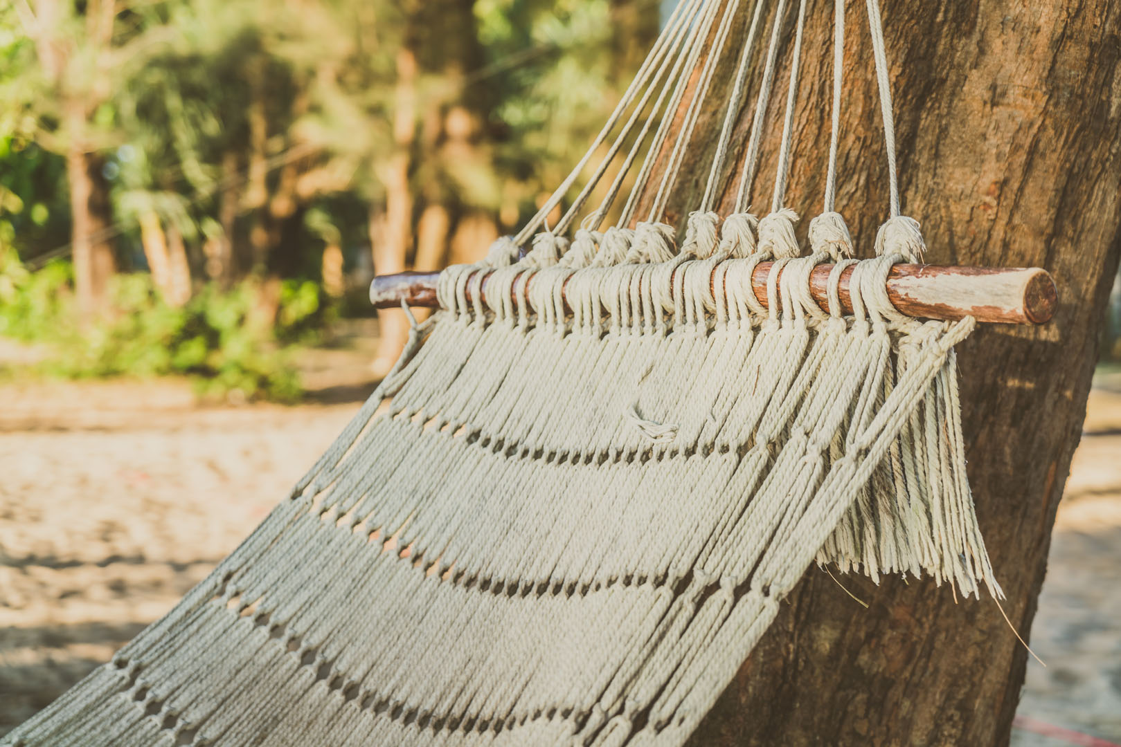 Empty hammock on the beach